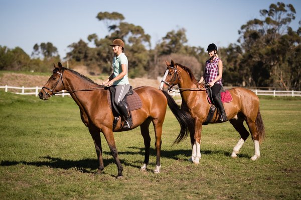 Quelques astuces pour bien choisir le vêtement d'équitation femme